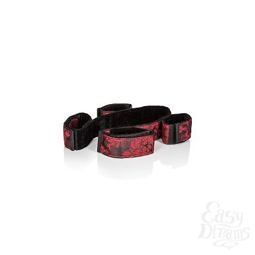  5   Scandal Bondage Bar 