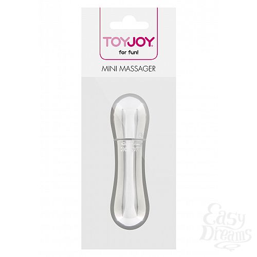  2   MINI VIBRATING MASSAGER SILVER 10147TJ