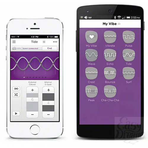  2     We-Vibe 4 Plus: App Only Model
