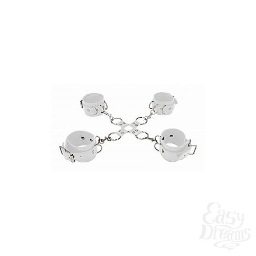  1:     Hand And Legcuffs 