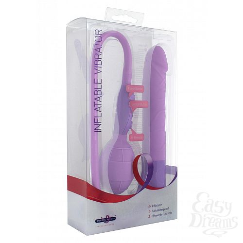  2   INFLATABLE VIBRATOR PURPLE
