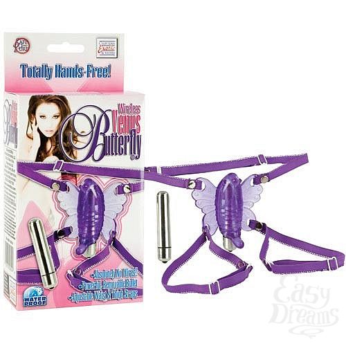  2    Wireless Venus Butterfly, 