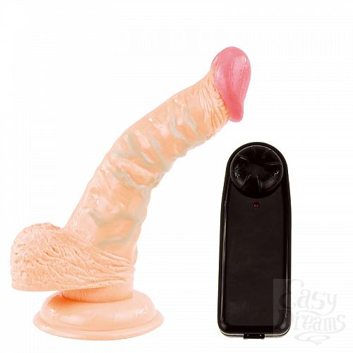  1:      BW-008082X