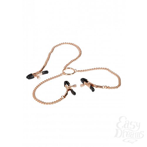 Фотография 1:  Интимное украшение на тело с зажимами Entice Triple Intimate Clamps Фотография 1:  Интимное украшение на тело с зажимами Entice Triple Intimate Clamps