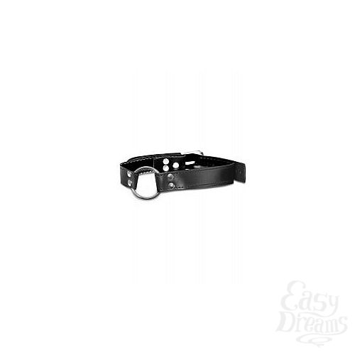  1:  -  O-Ring Gag 