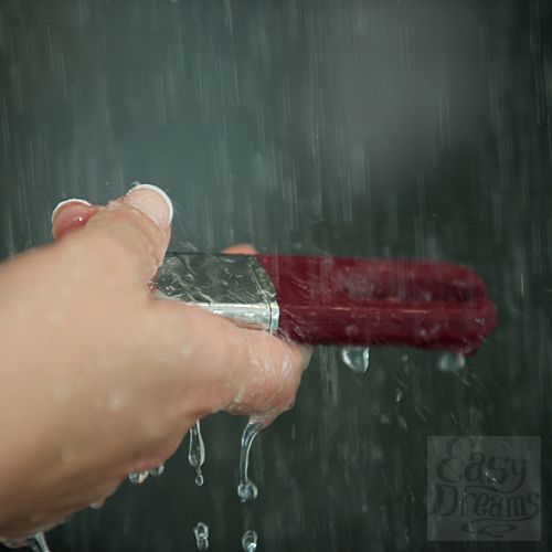  7    Crave - Duet Vibrator Crimson