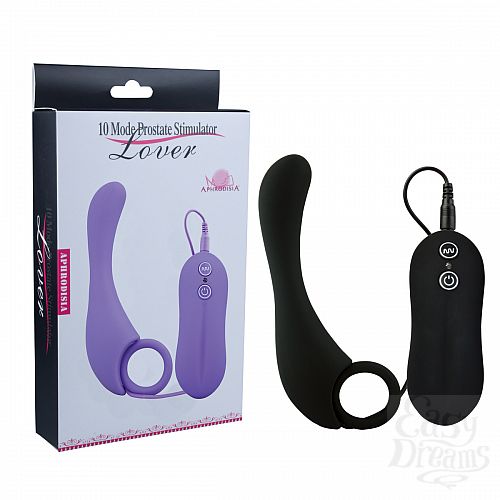  1:  ׸   Prostate Stimulator-Lover - 13 .
