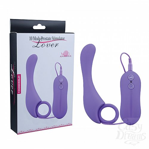  1:     Prostate Stimulator-Lover - 13 .