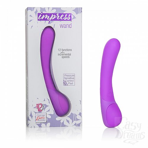  1:    Impress Wand - 12 .