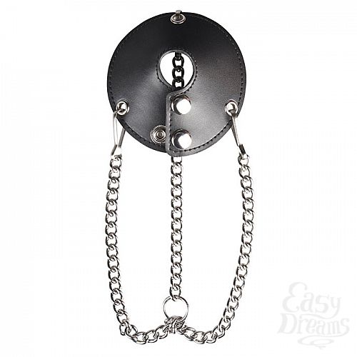  2          PARACHUTE BALL STRETCHER