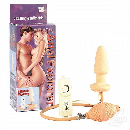  1:     ANAL EXPLORER - 12 .