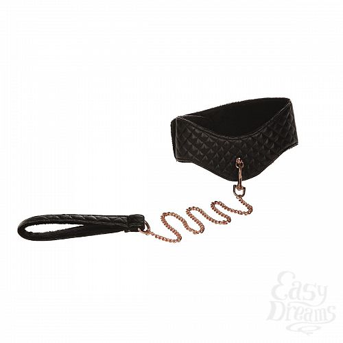  1:     Entice Posture Collar with Leash 