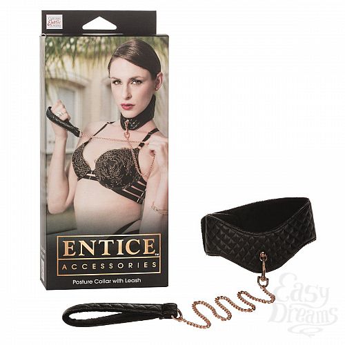  2     Entice Posture Collar with Leash 