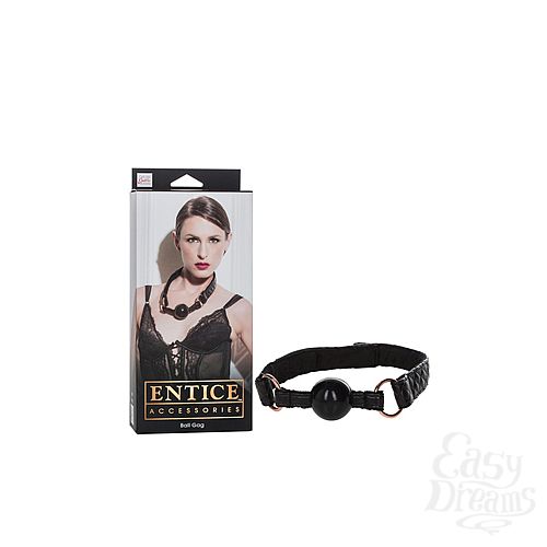  1:    Entice Ball Gag