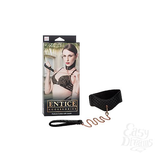  1:       Entice Posture Collar with Leash   