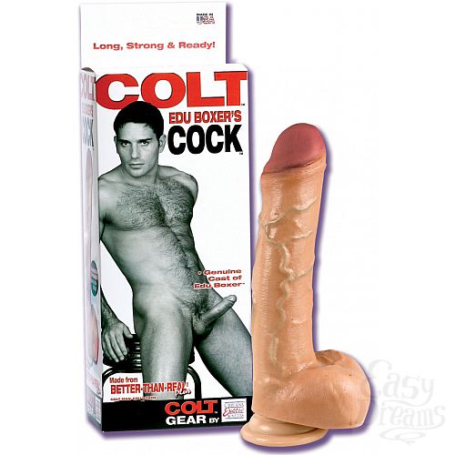 ���������� 1:  ������������ ������������� �� ������