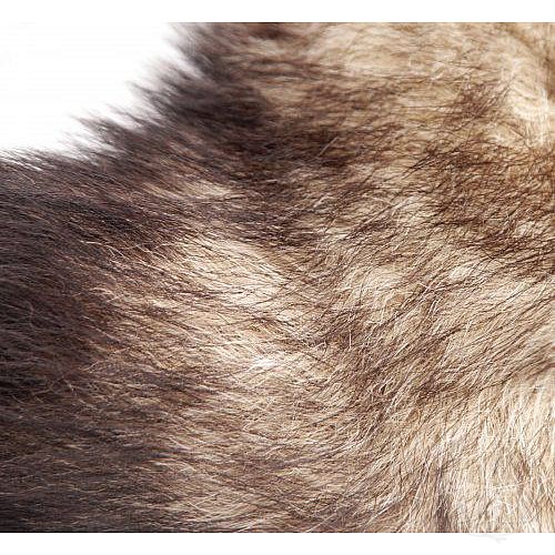  4        Master Series Untamed Fox Tail Anal Plug - 9 .