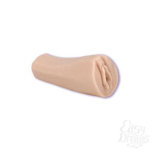  1:  - PALM PAL 