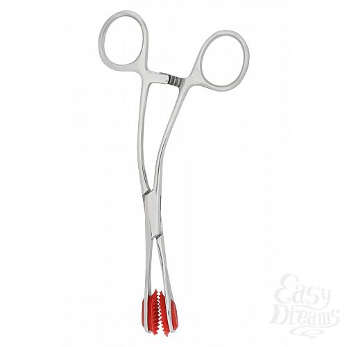  1:      Scissor Clamp