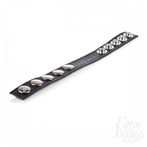  5      Adjustable 5 Snap Leather Strap