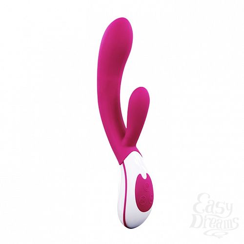  1:    PRETTY LOVE  BI-014231
