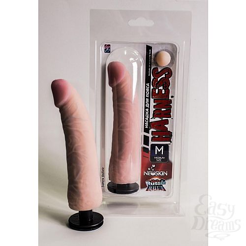  1:      Harness   Medium Size 