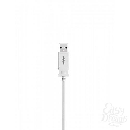  3     USB KEGEL BALLS   USB 