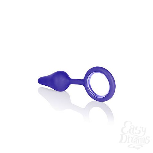  4    Booty Tickler 