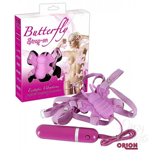  1:       BUTTERFLY