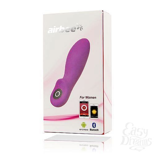  3     AirBee - 13 .
