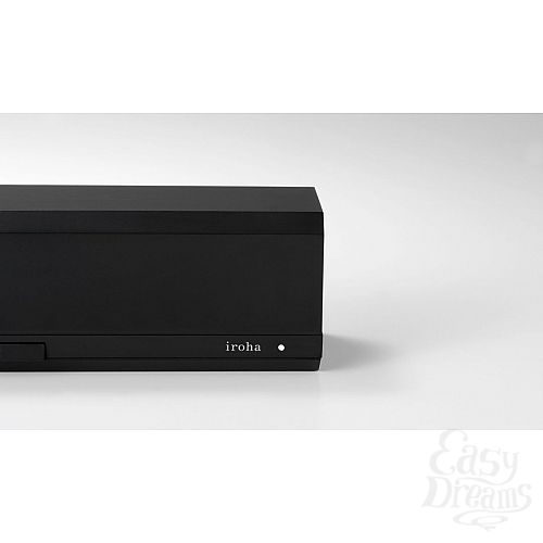  4    IROHA MINAMO     - 17,5 .