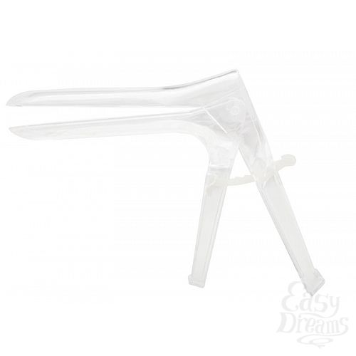  1:    Asylum Speculum