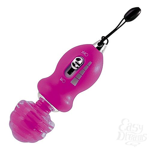  1:   YEASTY T4L-801289