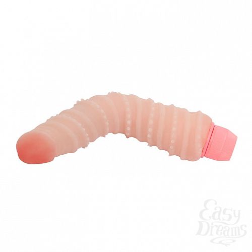  2    Spine BW-007101G