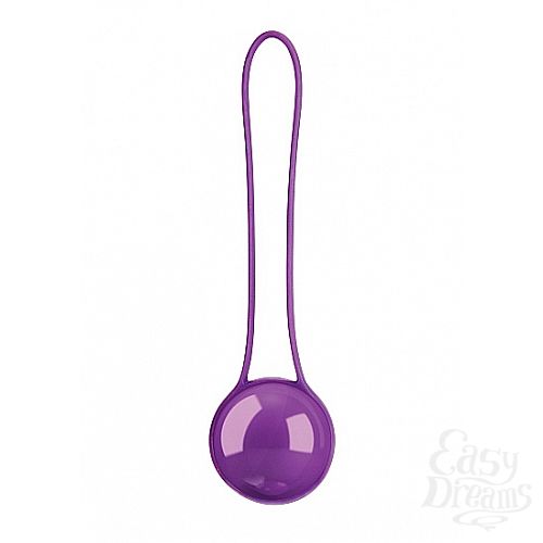  1:   Pleasure Ball Deluxe Purple SH-SHT100DPUR