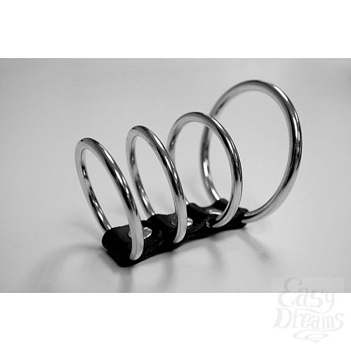  1:  4   Ring Cock Cage
