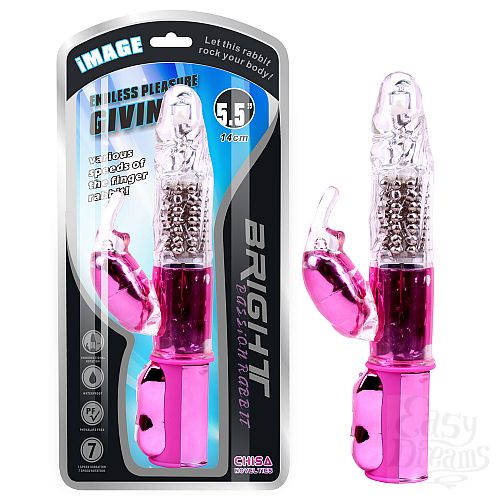  3       Bright Passion Rabbit- 27 .