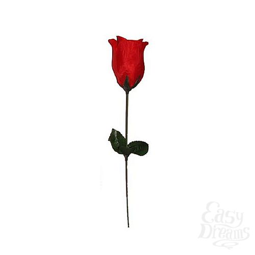  1:      EIS101-RED