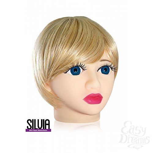  1:      Silvia