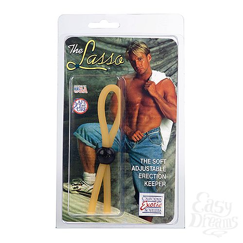  1:     LASSO