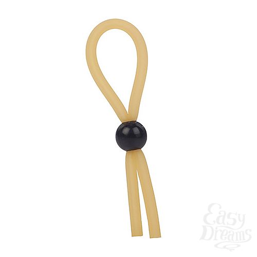  2     LASSO