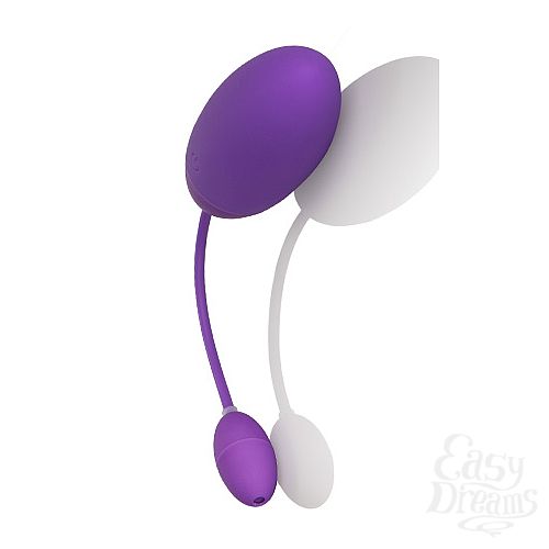  3  -   Silhouette S4  -  Purple