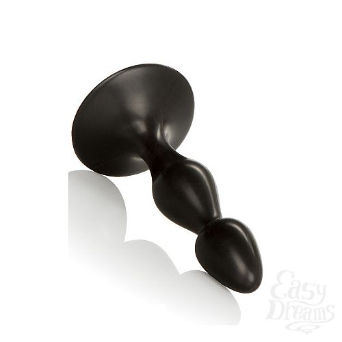  4    Dr. Joel Kaplan Beginner Anal Exerciser