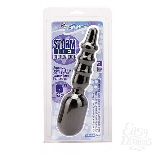  2  ׸     STORM RIDER