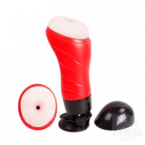  1:  - Delia  BM-00900T46S-1