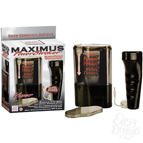  2    Maximus