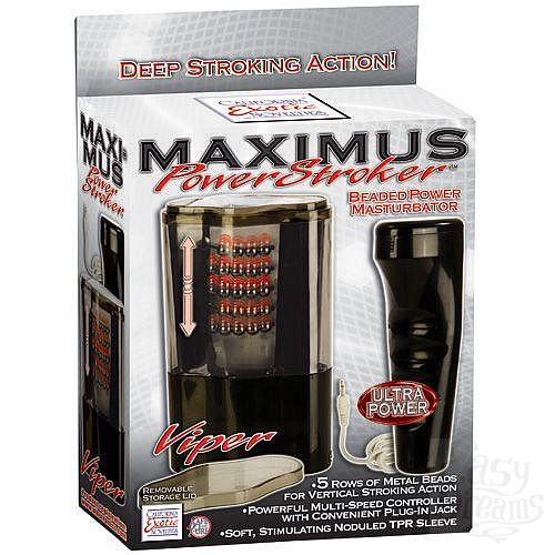  3    Maximus