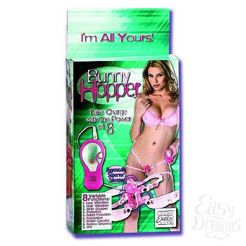  1:   Bunny Hopper
