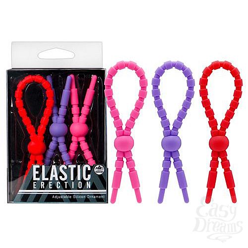 1:        Elastic Erection