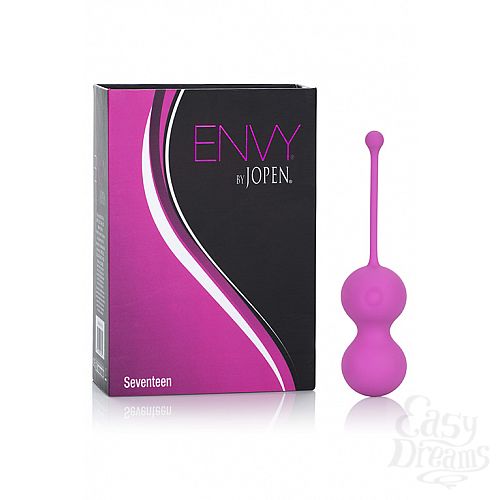  1:    Envy Seventeen